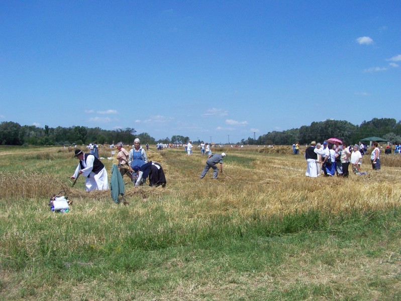 113.JPG