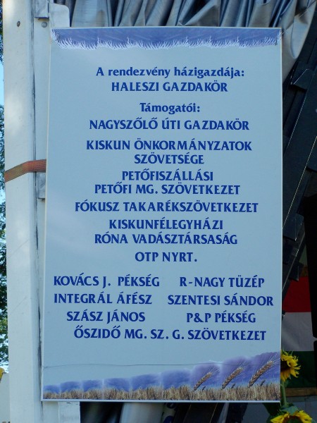 8.JPG