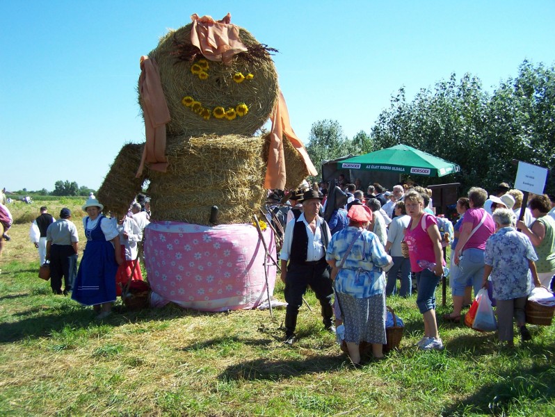 29.JPG