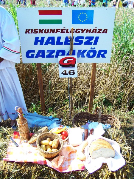 48.JPG