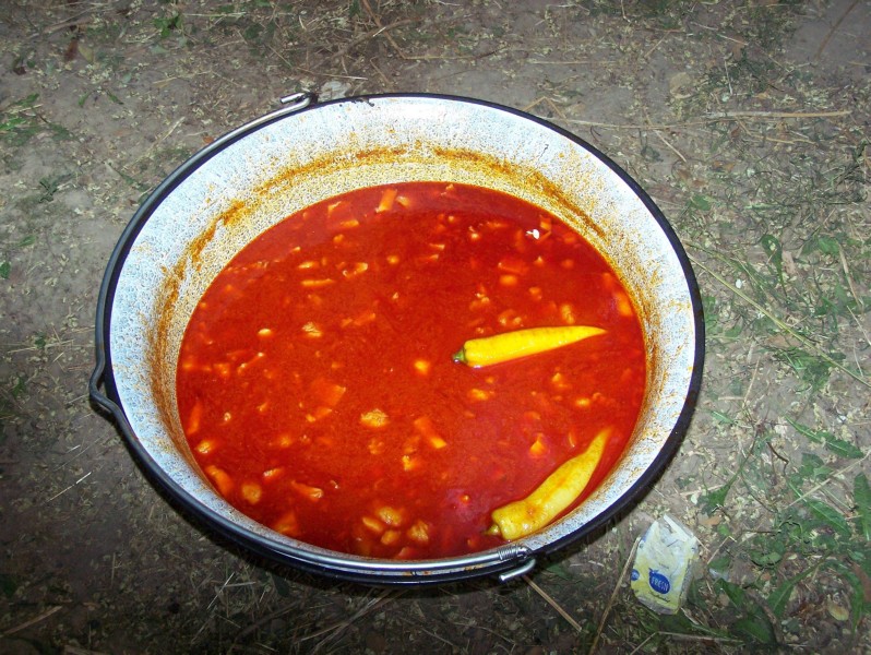 41.JPG