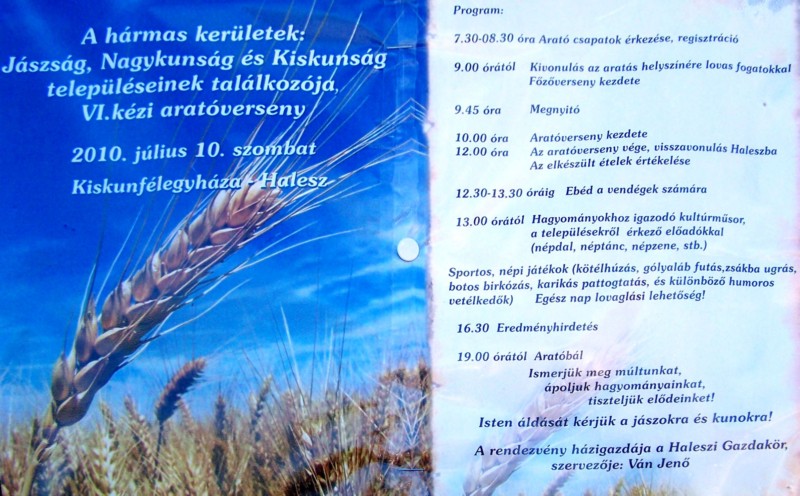 96.jpg