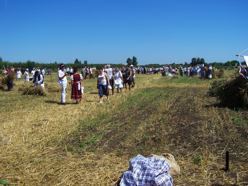87.JPG