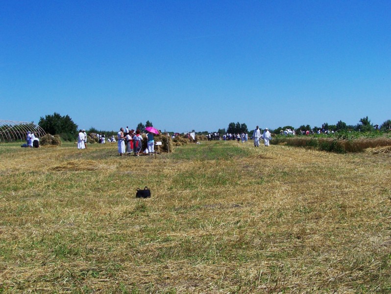 95.JPG