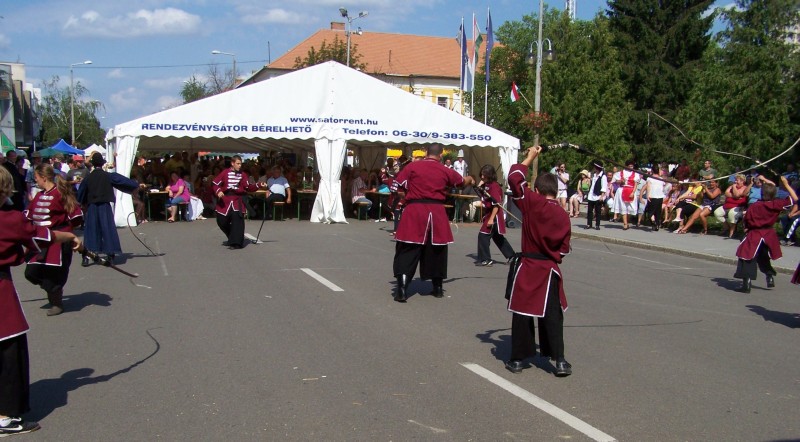100.JPG