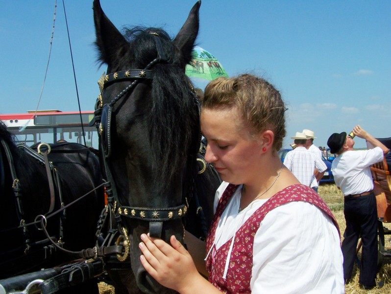86.JPG